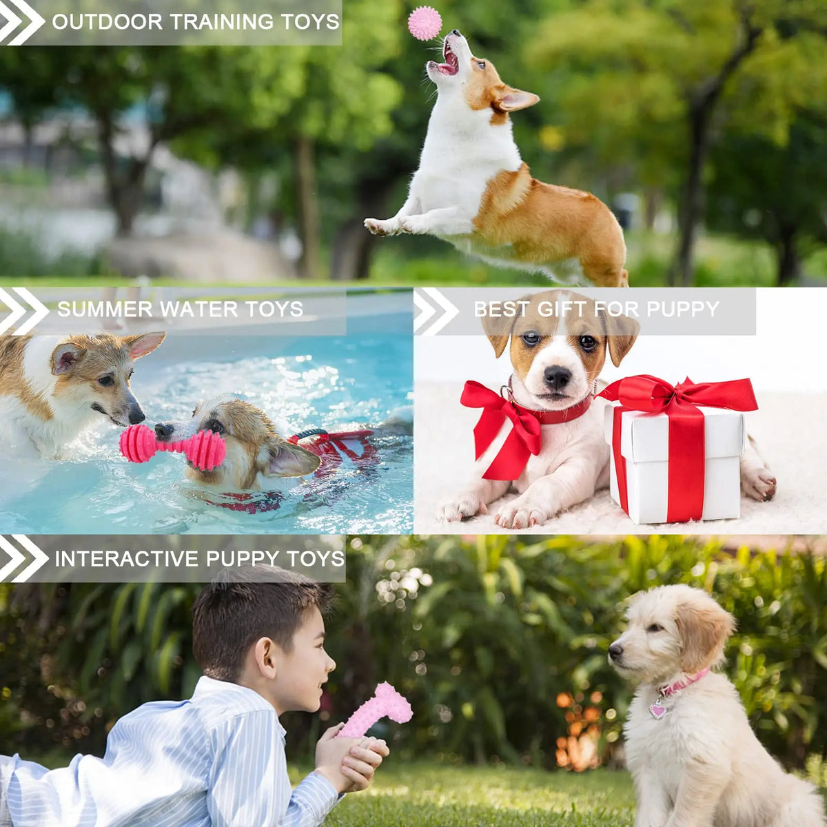 4 Pack Dog Chew Toy