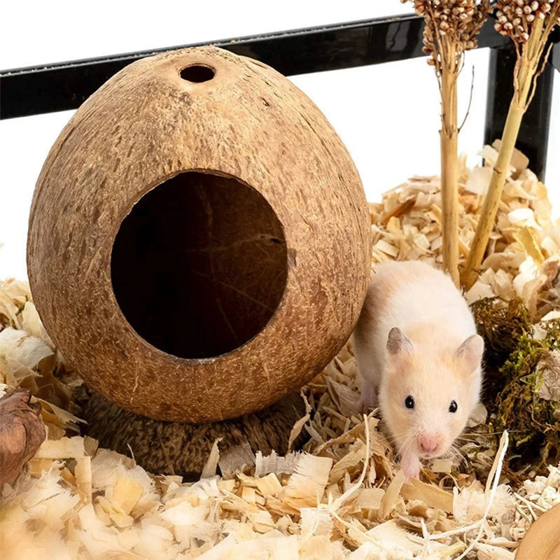 Simple Small Hamster Cage