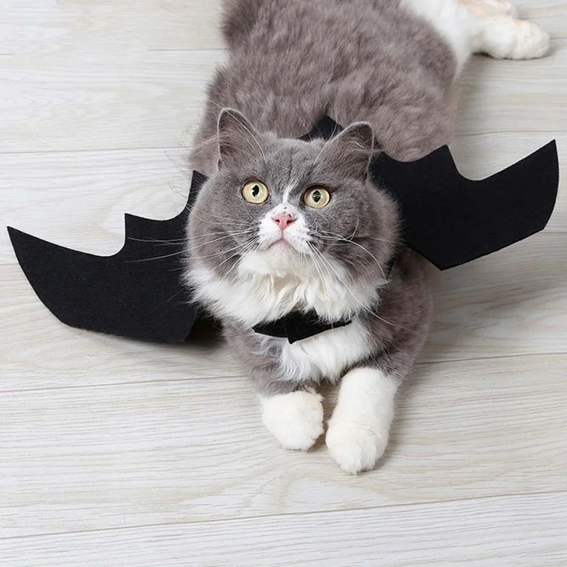 Halloween Black Bat Wings