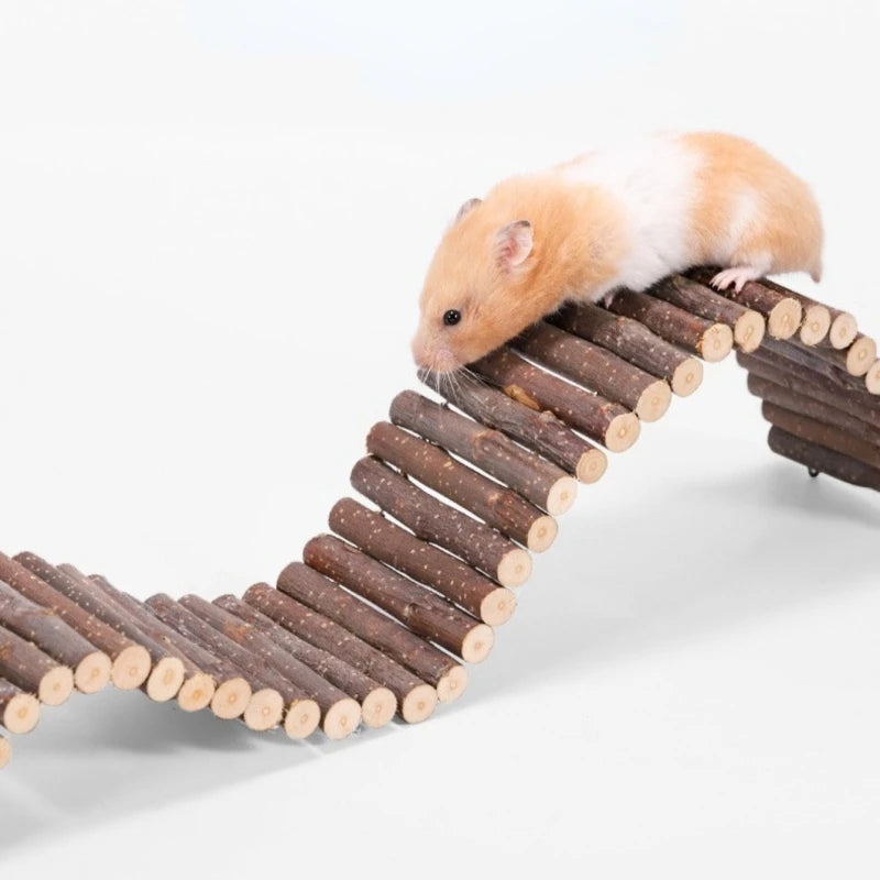 Pet Hamster Branch Wood Fence