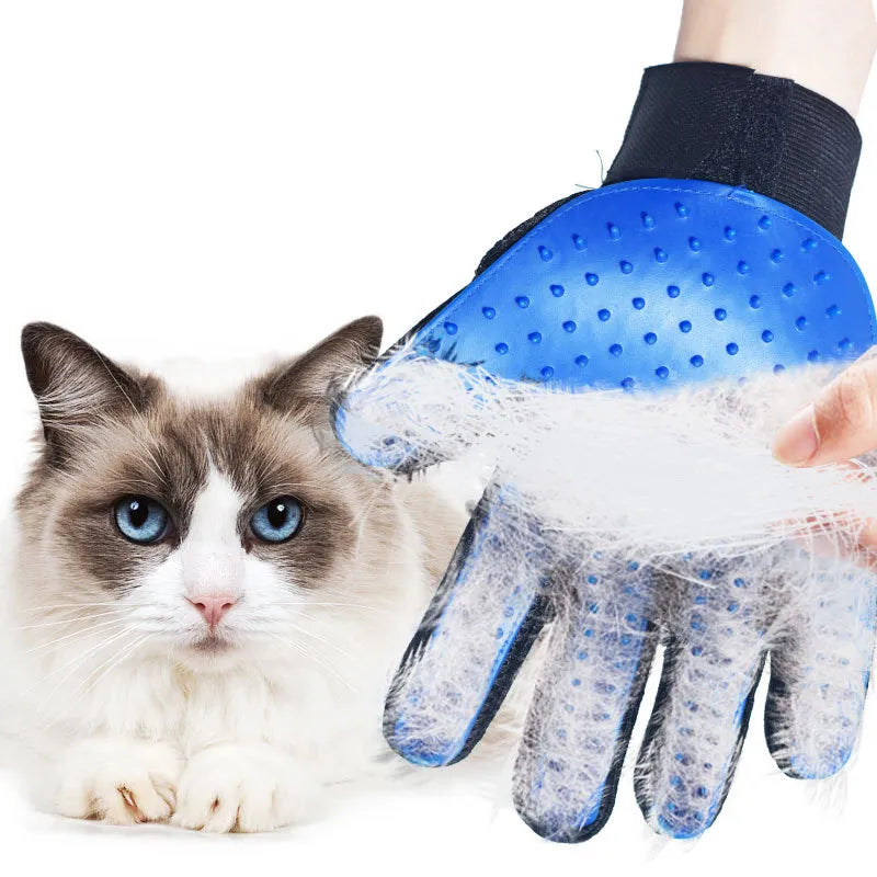 Cat Grooming