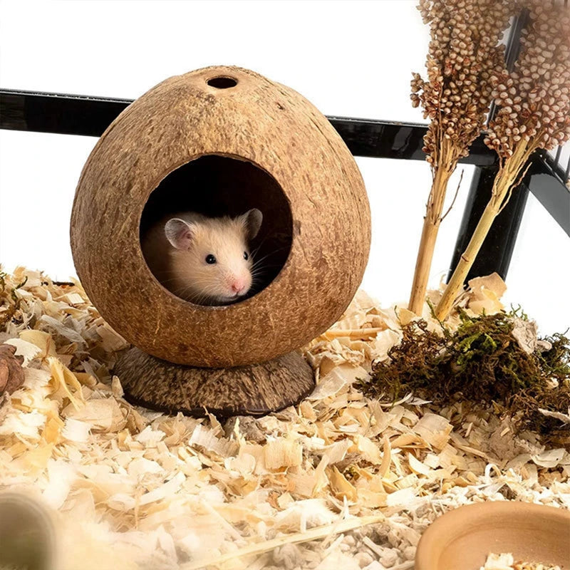 Simple Small Hamster Cage