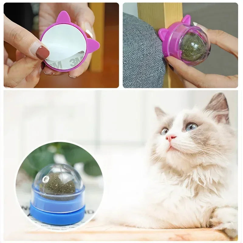 Rotatable Catnip Wall Ball Toys