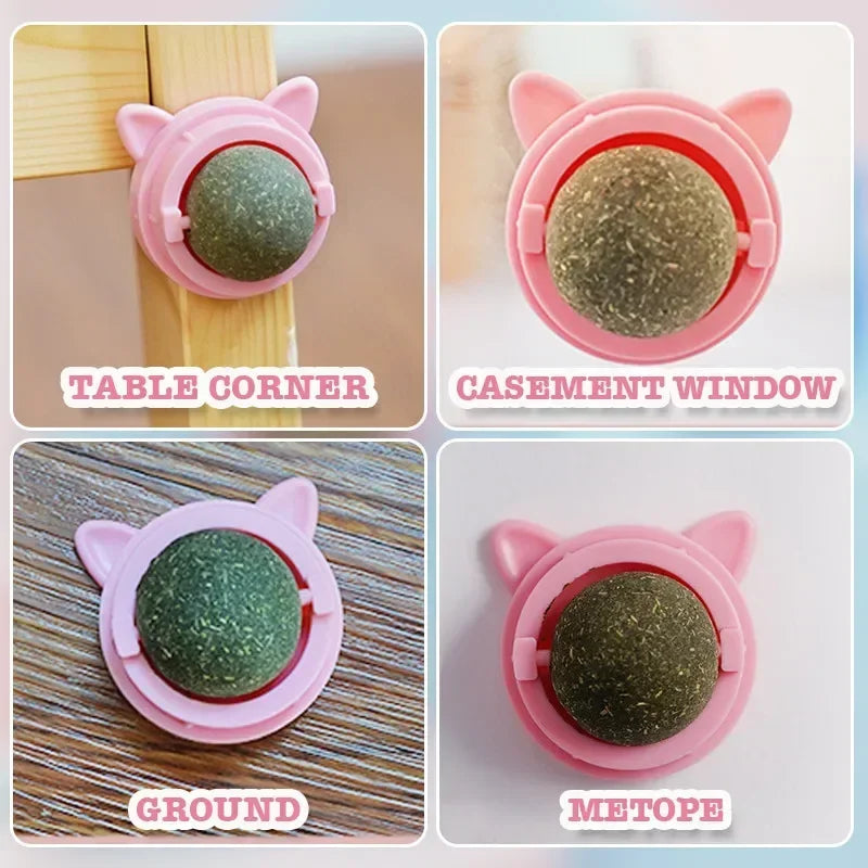 Rotatable Catnip Wall Ball Toys