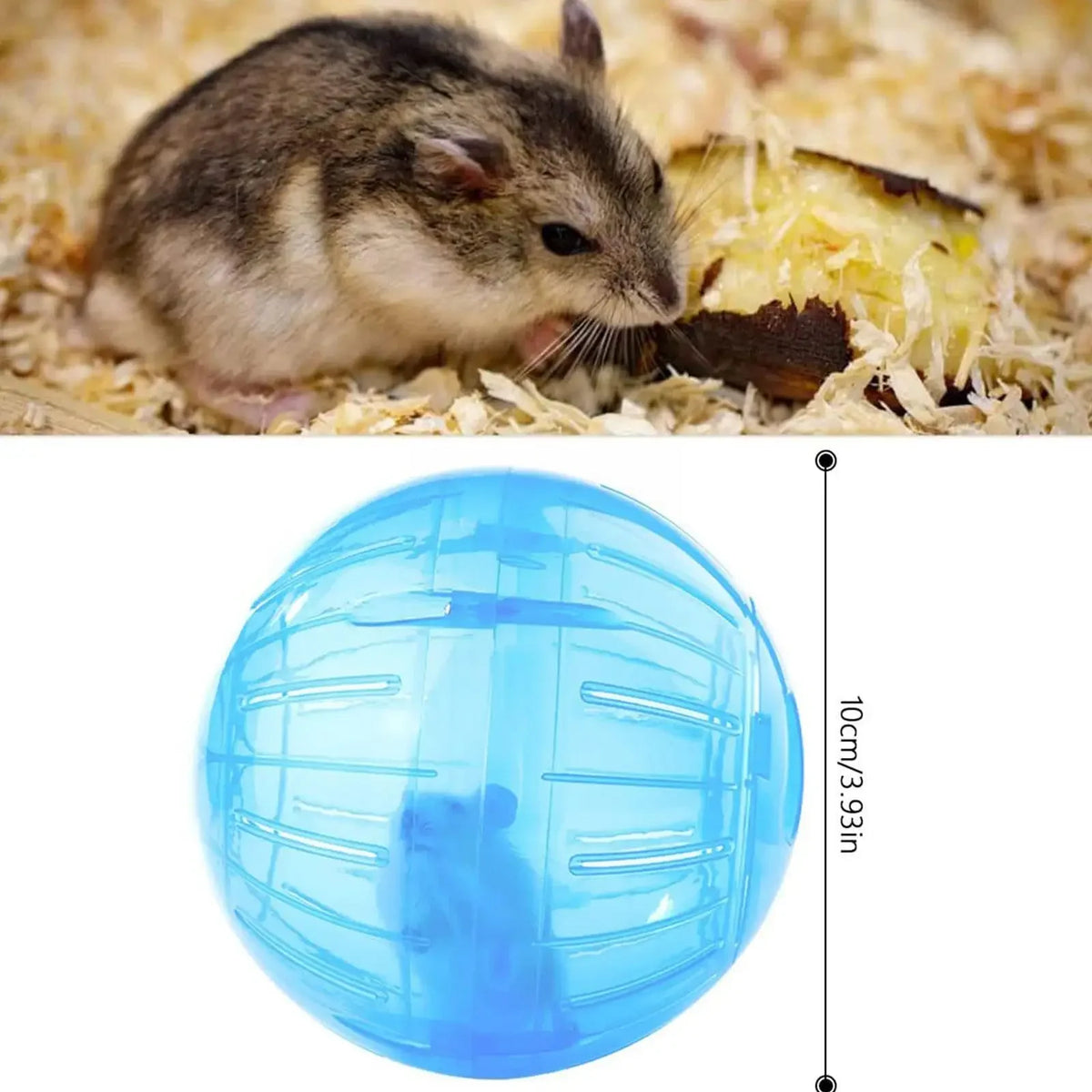Outdoor Sport Ball Grounder Toy