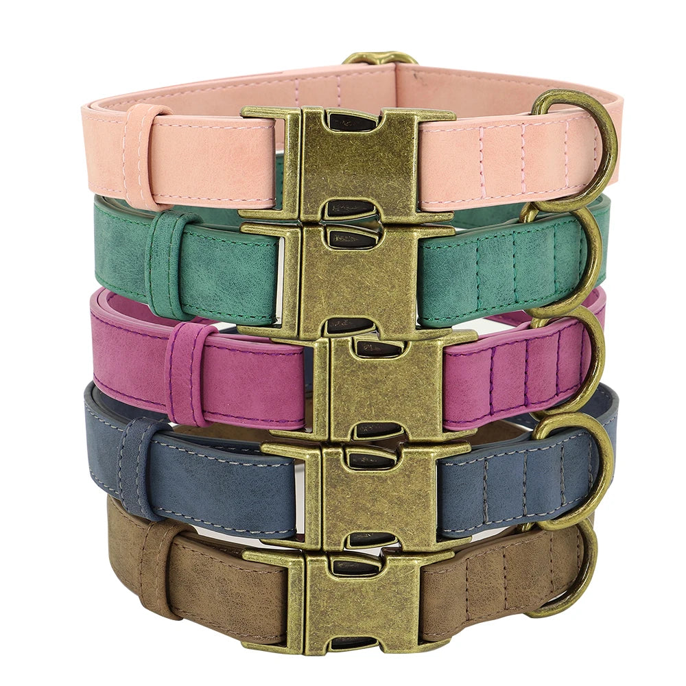 Metal Buckle Fashion Dog Collar