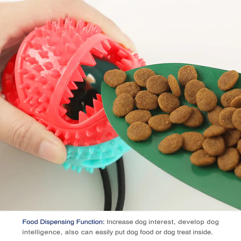 Large Dog Ball Toy