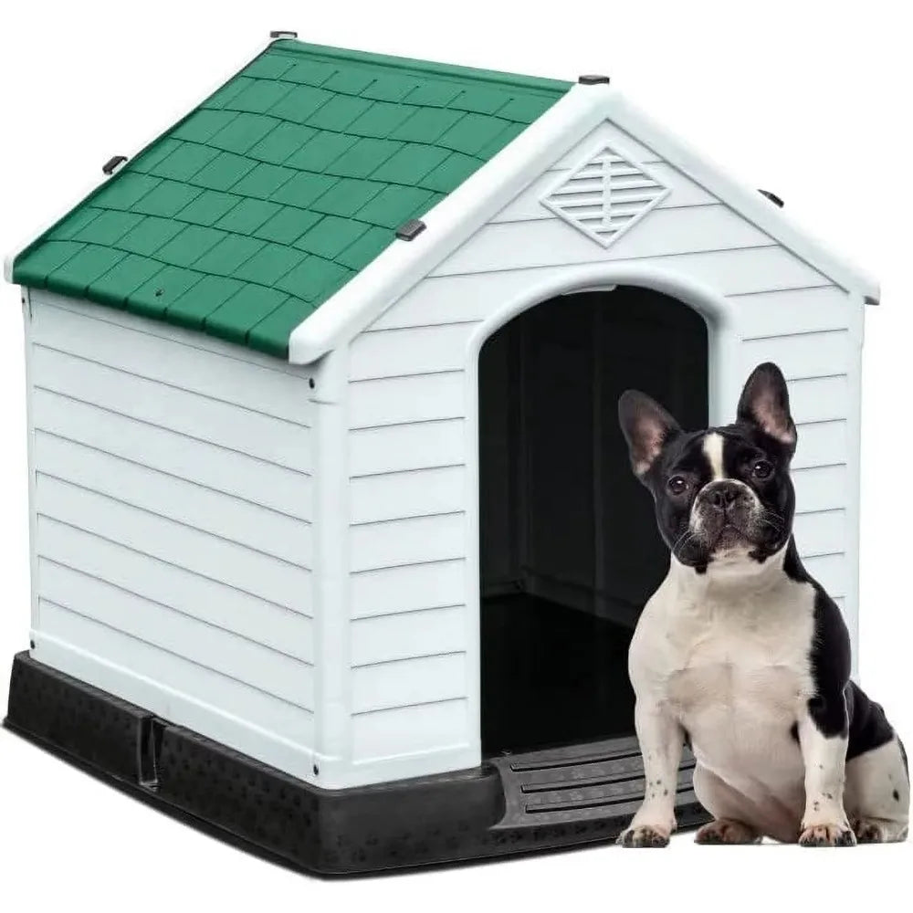 Dog Accessories