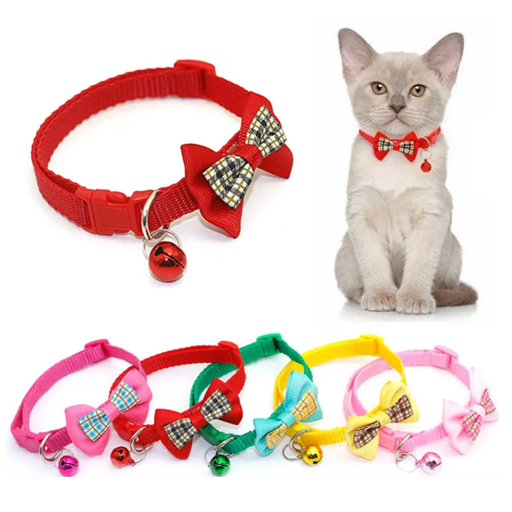 Cat Accessories